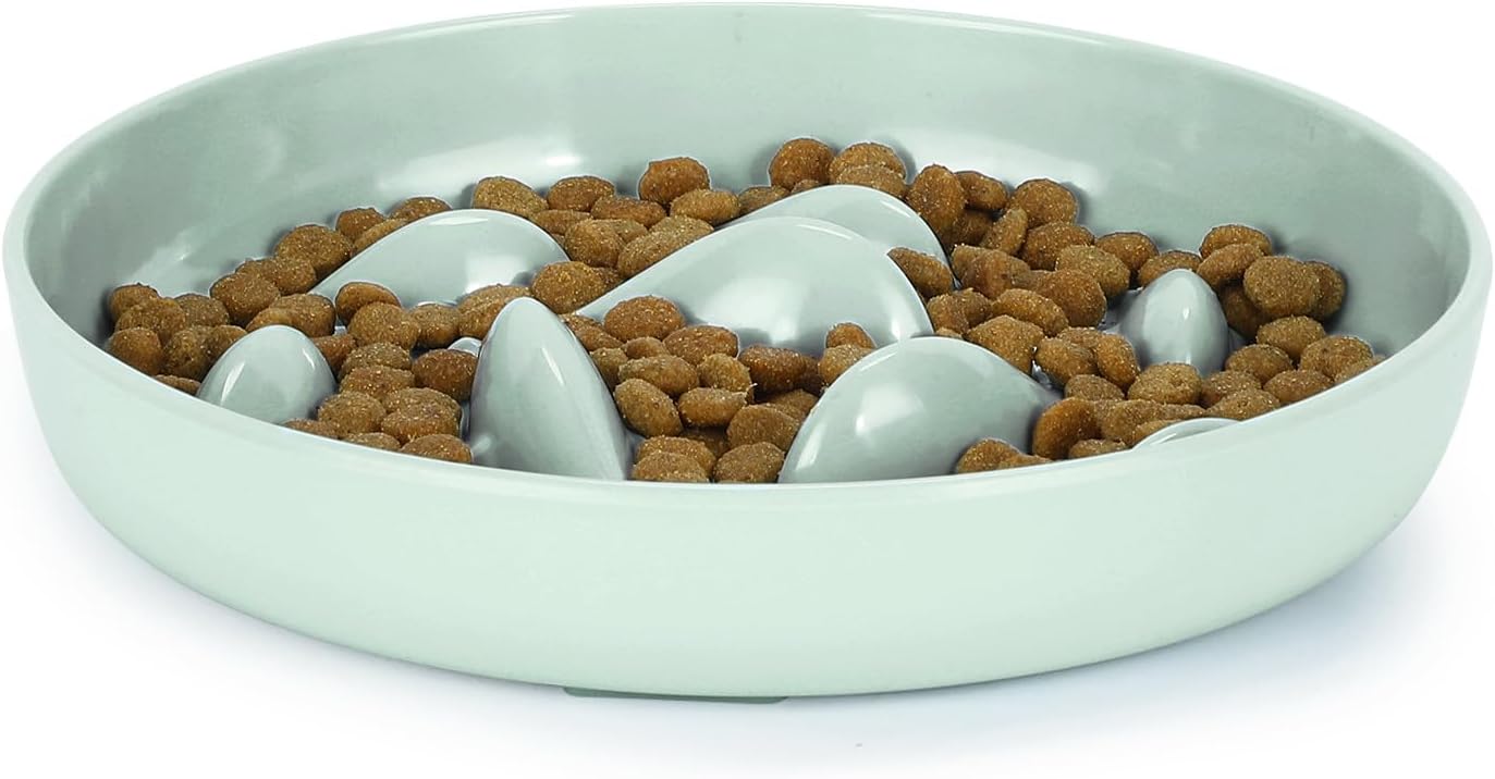 IDOGCHEW Cat Bowl Slow Feeder AntiGulping Anti Vomiting, Cat Puzzle