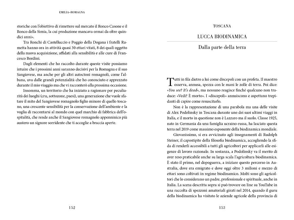 Custodi del vino. Storie di un'Italia che resiste e rinasce