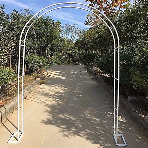 Aide à l'escalade pour rosier grimpant et arche de jardin - 2