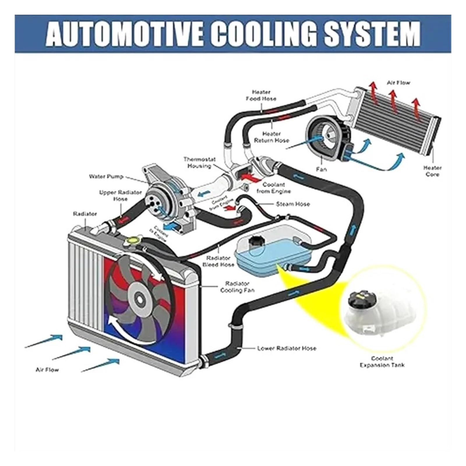 Refrigerante Depósito Para BMW Para F36 F33 F32 328 F30 F20 F21 F22 F31 F34 Tanque De Agua Refrigeración 17137609468 17137642160 Hervidor Expansión Refrigerante