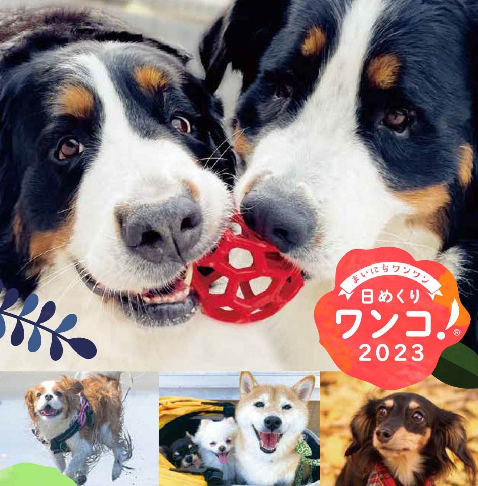 日めくりワンコ！ 卓上日めくりカレンダー 2023年 犬版 Amazon | 日めくりワンコ！2023年(卓上日めくりカレンダー犬版
