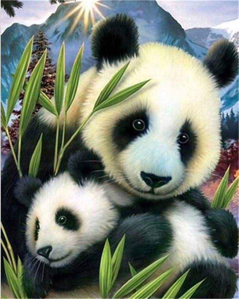 Awesocrafts Panda Paint By Numbers Kits, Bear With Cub Number Painting For Adults And Kids 16X20 Inch Framed (, Framed)