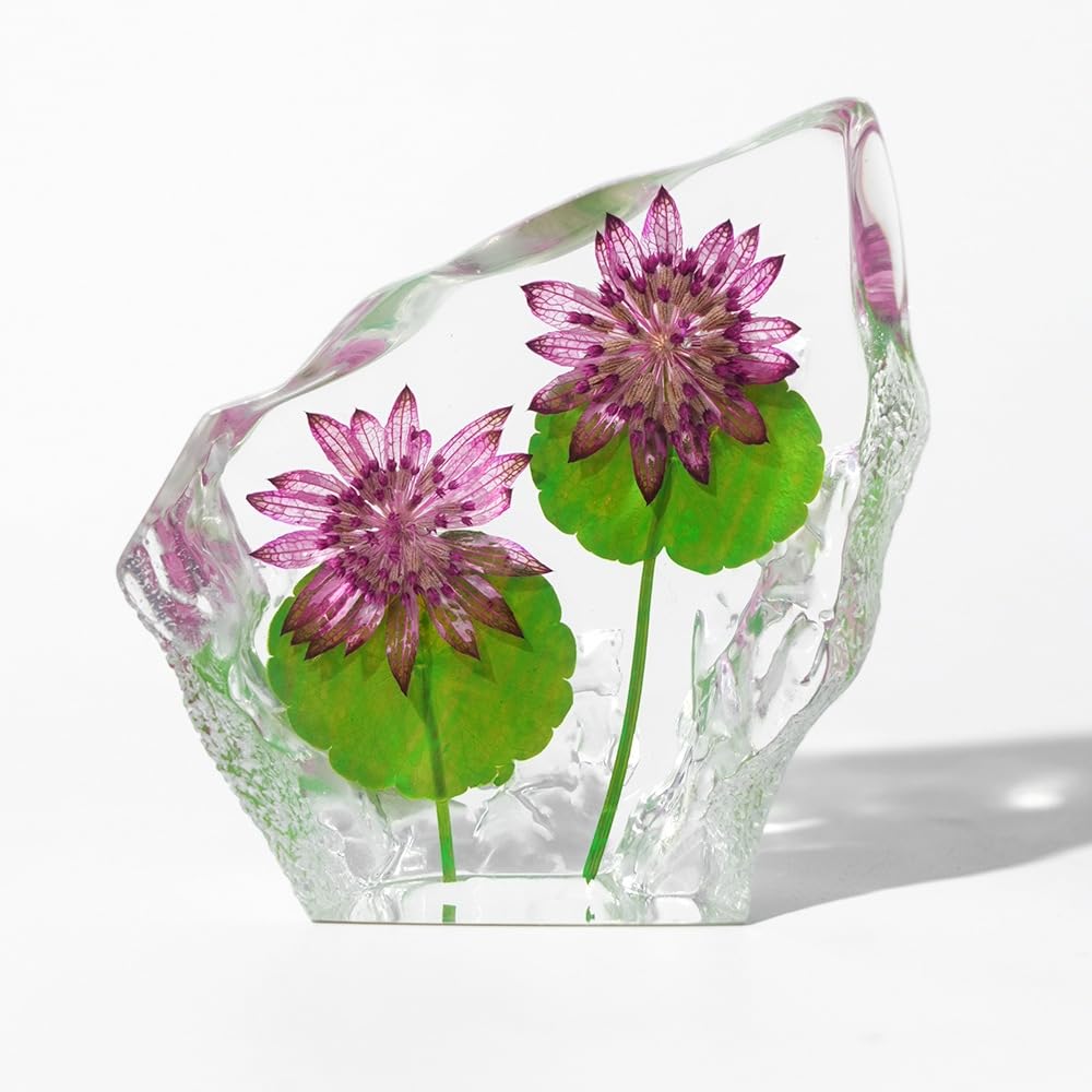 Taxidermy Lotus, Real Flower Specimen in Crystal Clear Resin, Preserved Sample Plant Flower Paperweight for Botany Science Education (Lotus-1PC)