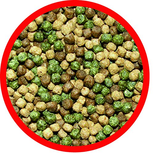 AL-KO-TE, 3-seizoenenvoer voor kois, voorjaar tot herfst, drijvende pellets, professionele mix hoofdvoer - Image 3