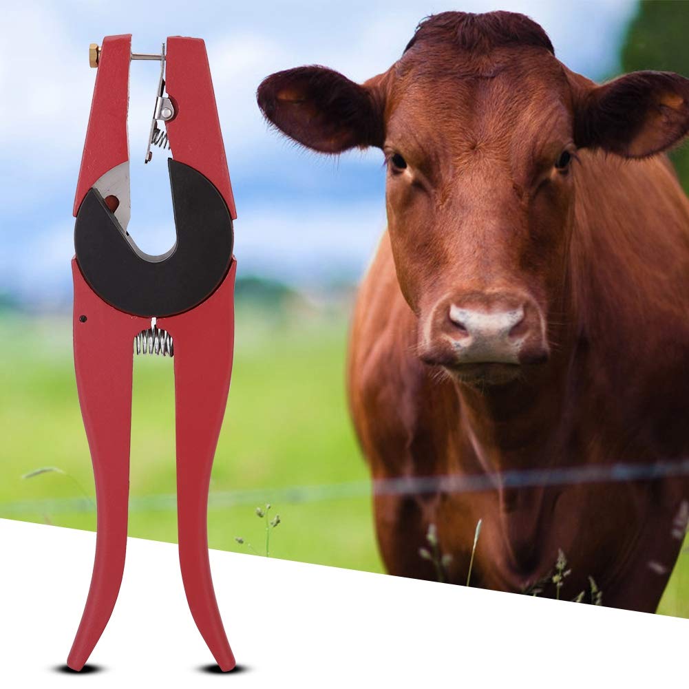 Vieh Ohrmarken Zange, Degrees Metall Ohrmarken Tierwerkzeug Applikator Tier Ohrmarken Installationswerkzeug für Schweine, Kühe, Vieh, Schafe, Ziegen, Rinder