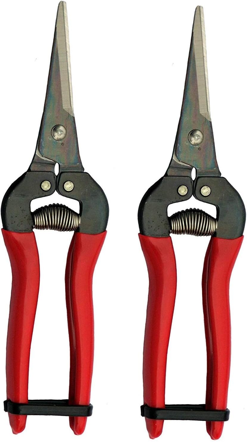 ARS HP300L Needle Nose Fruit Pruners (2 Pack) Patio