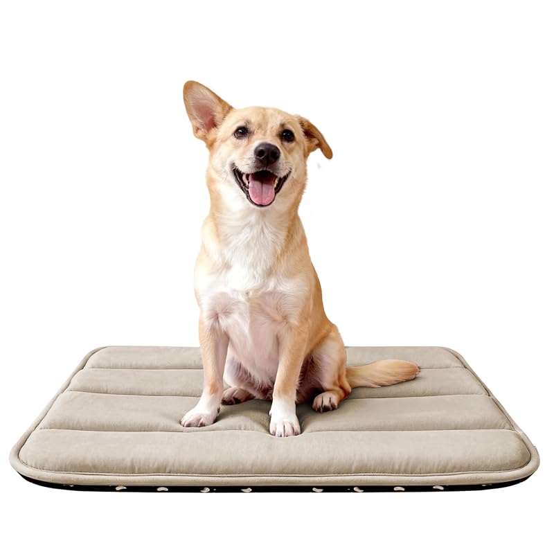 Tapete para Cama de Cachorro Reversível Fogkiss com Espuma Macia e Lavável à Máquina, 71,12 x 40,64 x 3,81 cm, 1 unidade