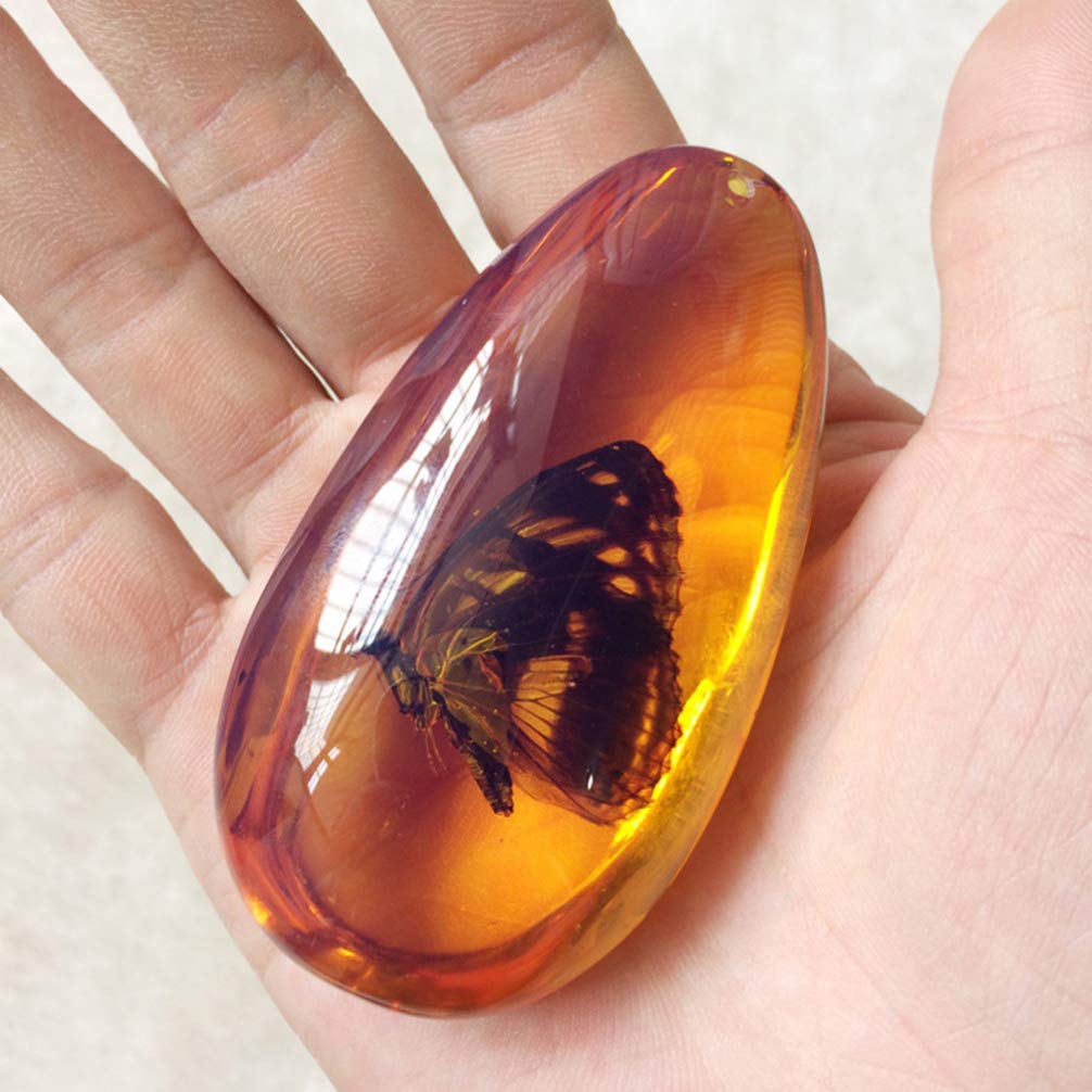 LIOOBO Fósil Ámbar con Muestras de Insectos Piedras Especímenes de Cristal Colección de Decoradores para El Hogar Colgante Ovalado para Niños (Patrón Aleatorio)