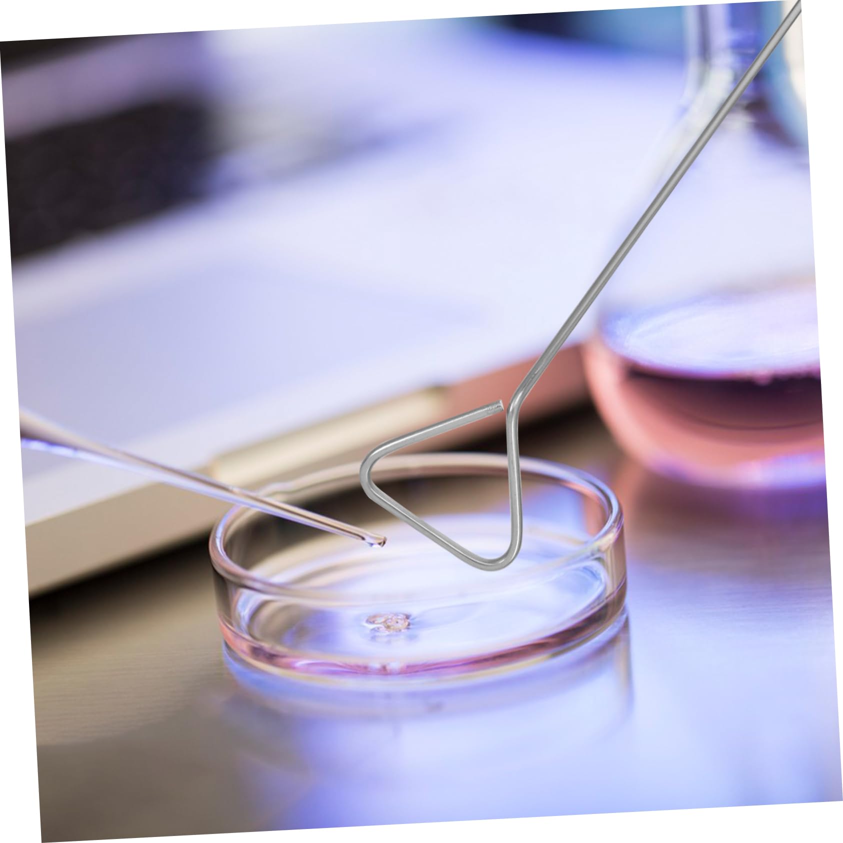 Gatuida 6pz Raschietti Triangolari in Acciaio Inossidabile per Piastre Petri, Diffusori Precisi ed Efficienti per Applicazioni di Laboratorio Scientifico