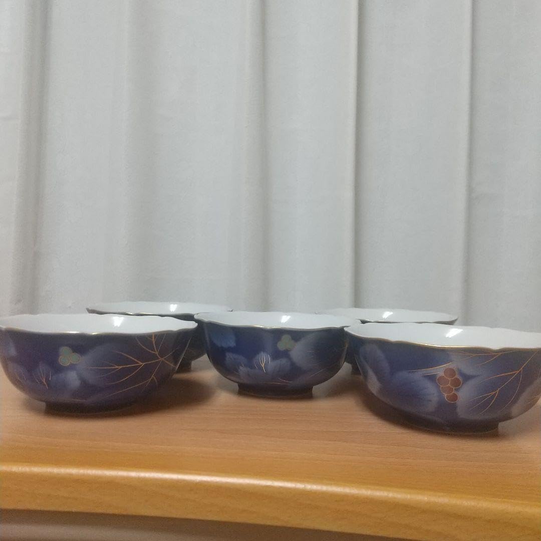 【深川製磁】有田焼 深皿 中深皿 瑠璃葡萄 5枚 深川製磁】有田焼 深皿 中深皿 瑠璃葡萄 5枚 Amazon.co.jp: