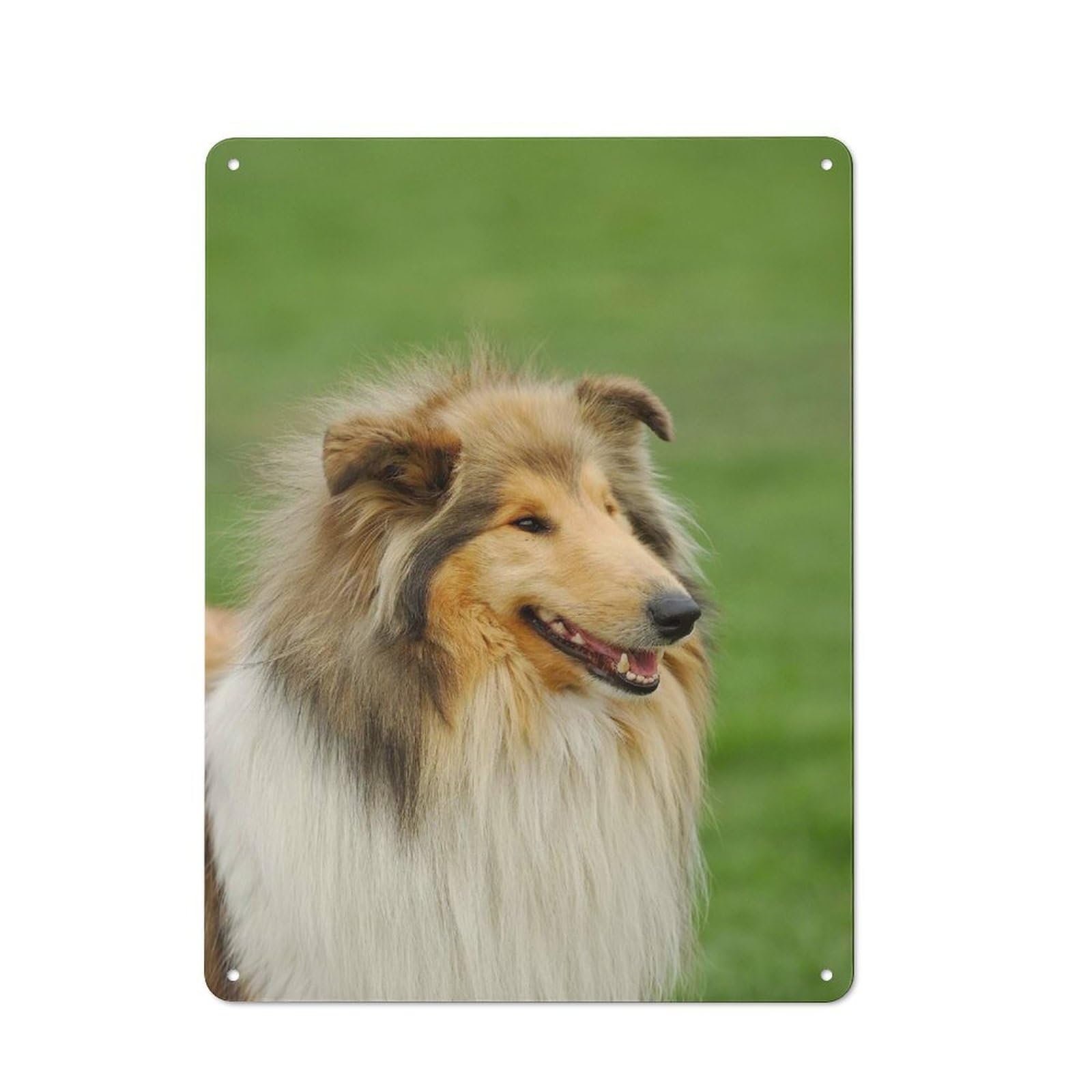 Junmoney Style-12 Rustic Tin Sign With Rough Collie Design 40X30cm, Casual Garden Room Wall Plaque For Shed, Garden Room, Porch Or Garage