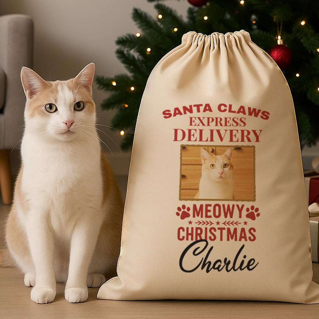 The Gift Project PERSONALISED Meowy Christmas Express Delivery - Christmas Cat Santa Sack
