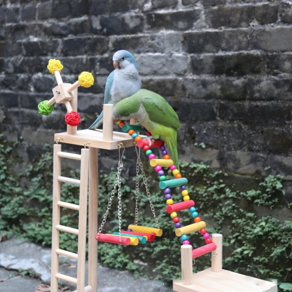 View 5