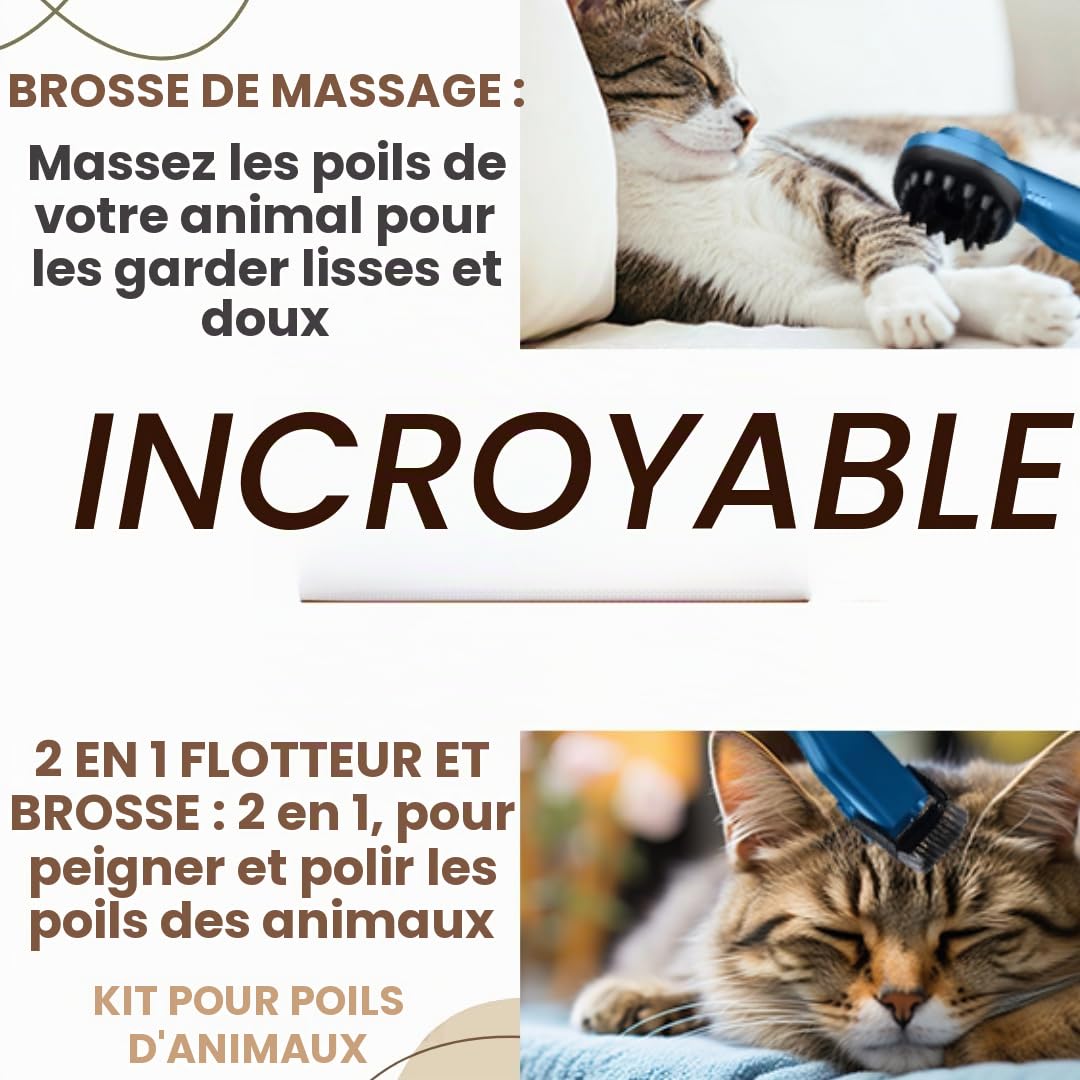 BEHOME Aspiration et Toilettage Chiens et Chats, Aspirateur Chien et Chat, Aspiration Poils Animaux et Aspirateur, Tondeuse professionnelle 6 accessoires, Silencieux