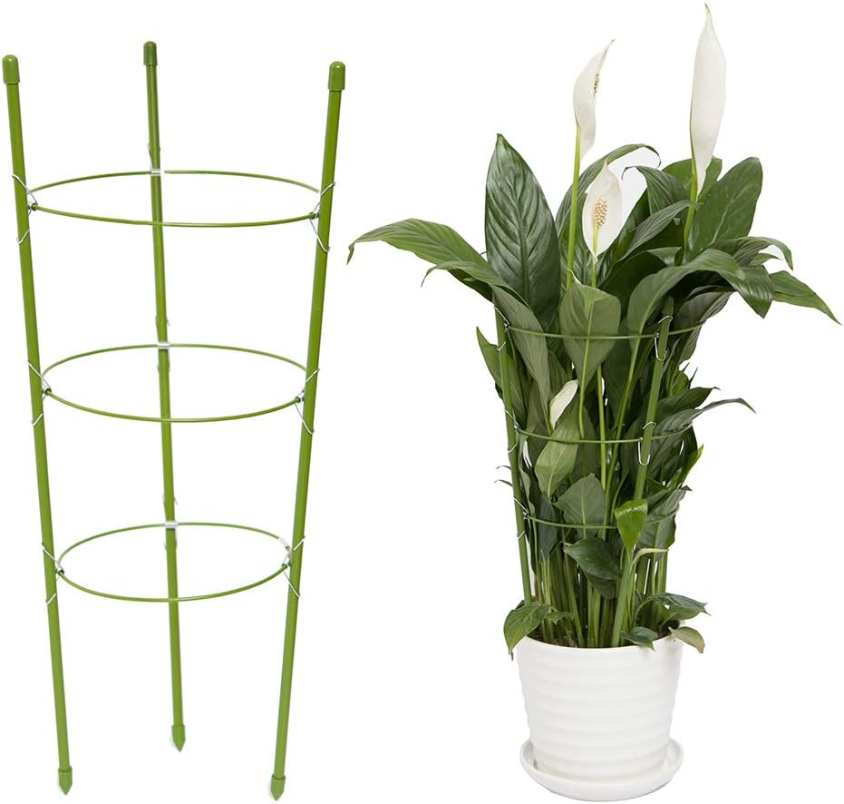 YiTai Plant Support Cages 17.7 Inches Plant Cages with 3 Adjustable Rings, Supporter Climbing Plants