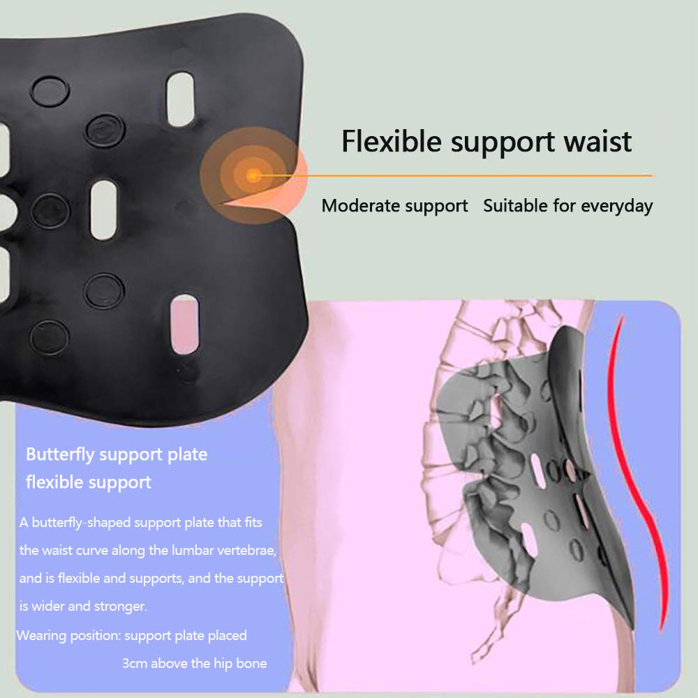 Faja Lumbar Fitness, cinturón de Cintura con calefacción eléctrica, para Hernia de Disco, ciática, escoliosis, estenosis espinal, con Almohadilla Lumbar extraíble,L