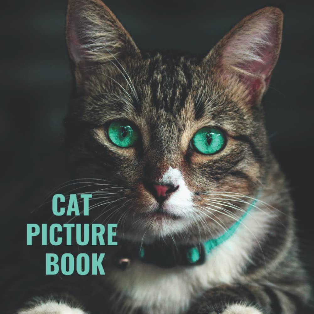 Cat Picture Book for Adults with Alzheimers, Ideal for Cat Lovers and A Gift Book for Alzheimer's Patients and Seniors with Dementia: cat picture book ... gifts for dementia patients women men
