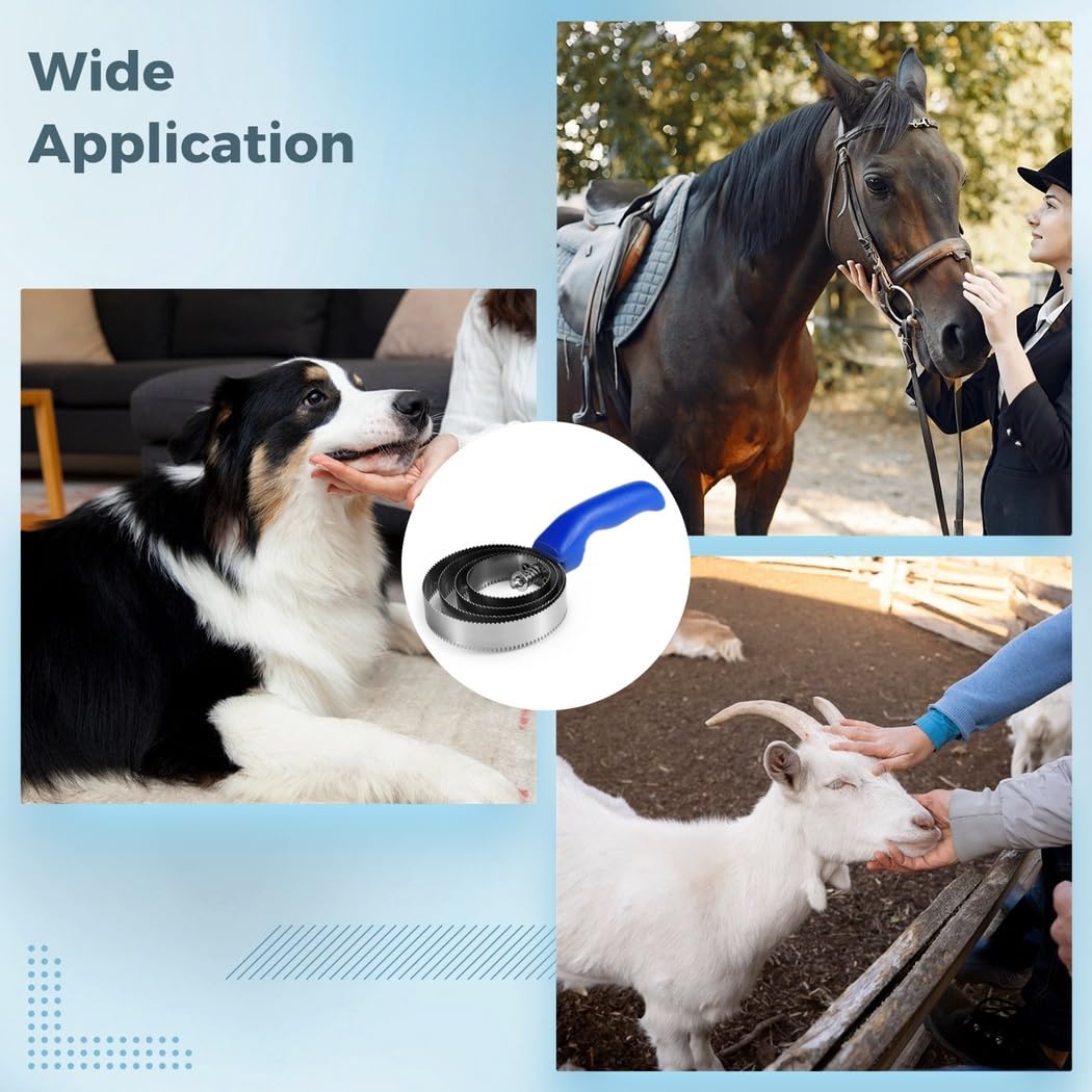 8-Pack Stainless Steel Curry Brushes, Dual-Sided Horse Grooming Combs For Pet Care, 4-Ring Design For Sheep, Goat, Dog, And Horse