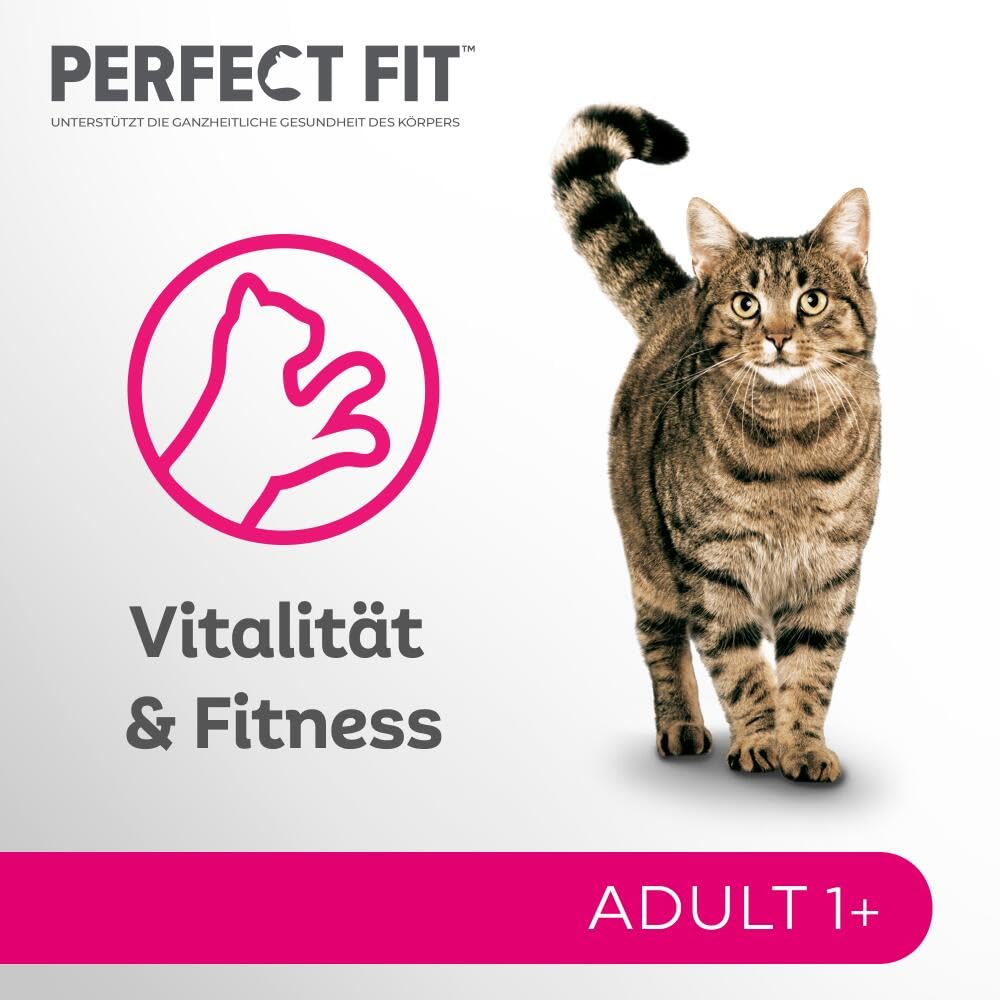 Perfect Fit Adult 1+ Katzennassfutter Auswahl mit Lachs, Hochseefisch, Rind und Huhn, 48 Portionsbeutel, 12x85g (4er Pack) – Premium Katzenfutter nass, für erwachsene Katzen ab 1 Jahr