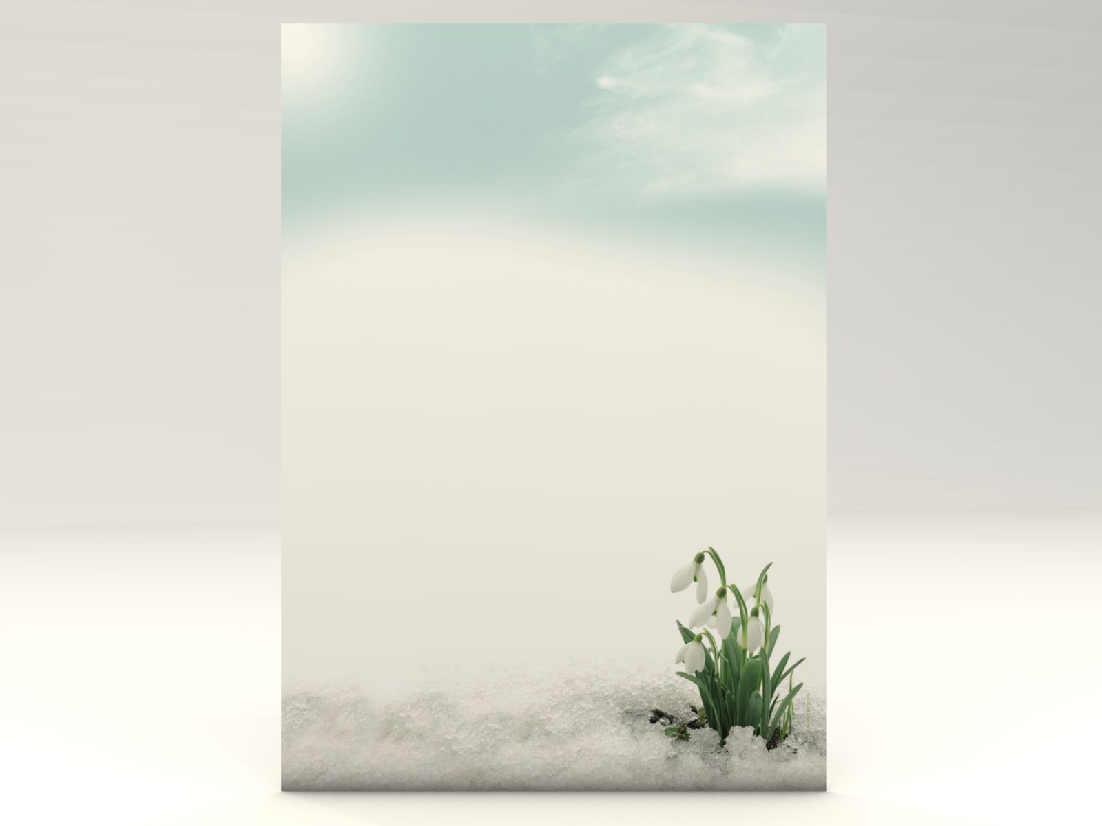 Schneeglöckchen, Märzenbecher, 20 Blatt Motivpapier 90g/qm