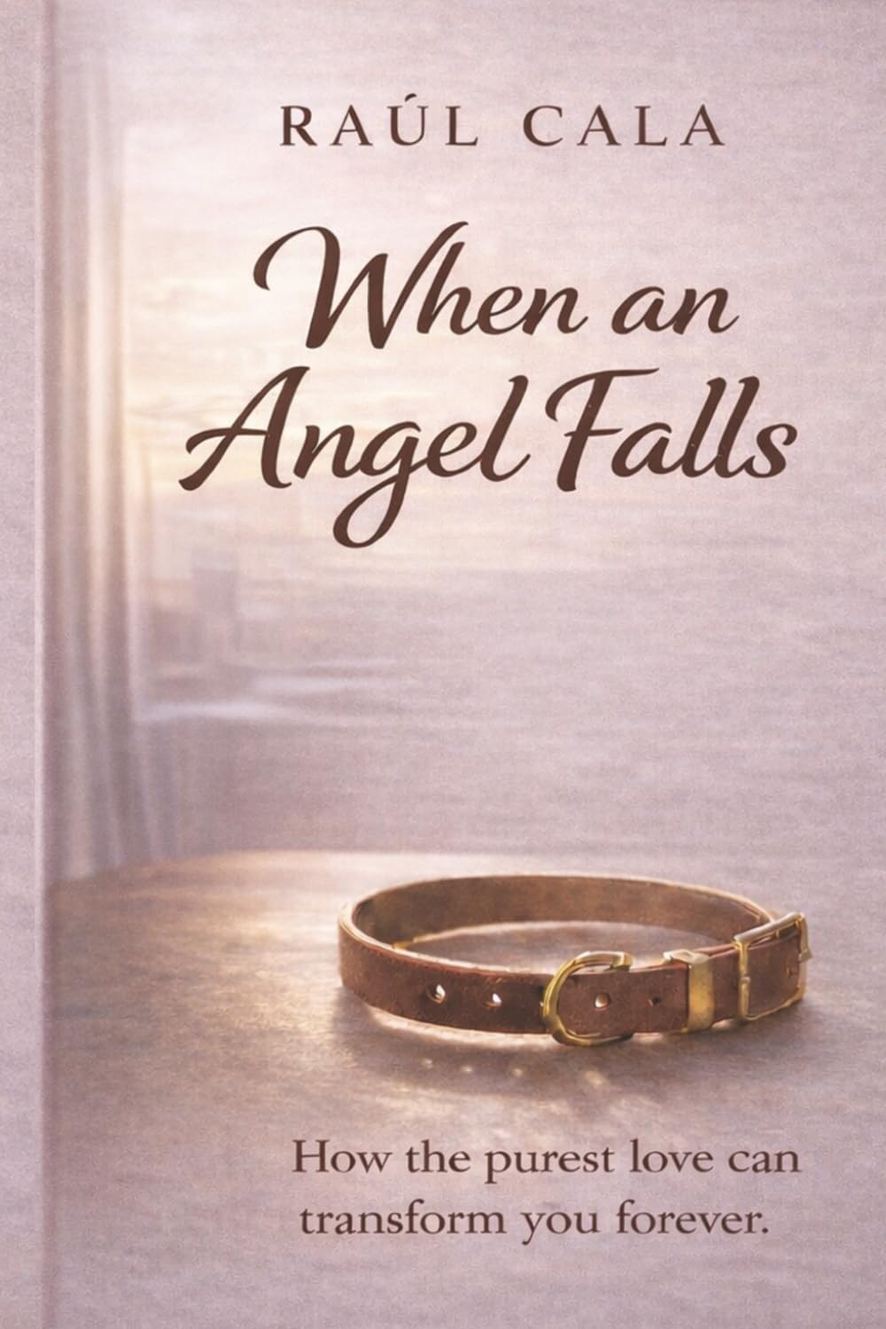 When an Angel Falls: How the purest love can transform you forever