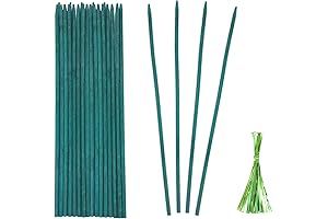  25 Pack 18in Green Bamboo Sticks Plant Stakes Support for Indoor Outdoor Garden