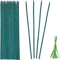 Vista 1 de Estacas de bambú verde para plantas, soporte para plantas de interior y exterior, palos de bambú resistentes de madera de jardín, estacas de soporte