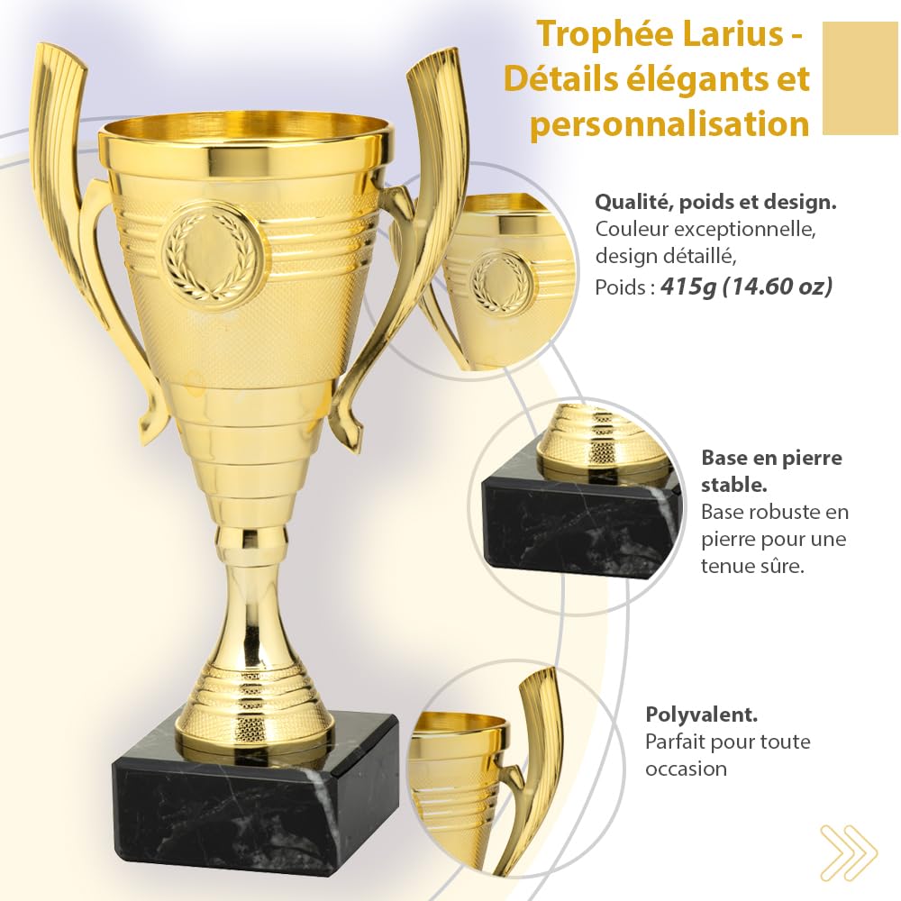 Larius Coupe (22 cm, 415 g) - Trophée élégant et universel avec socle en marbre - Personnalisable - Idéal pour le sport, l'école, les compétitions et les récompenses - B3