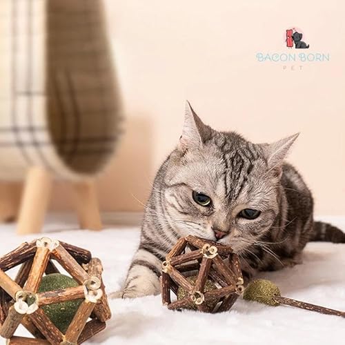 Bolinha De Catnip Madeira Matatabi Erva Natural Para Gatos Bola Madeira Erva Do Gato