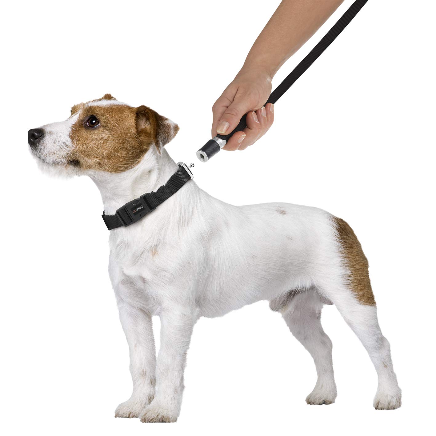 n.A. Laisse pour Chien 1794 Noir 1 pc(s)