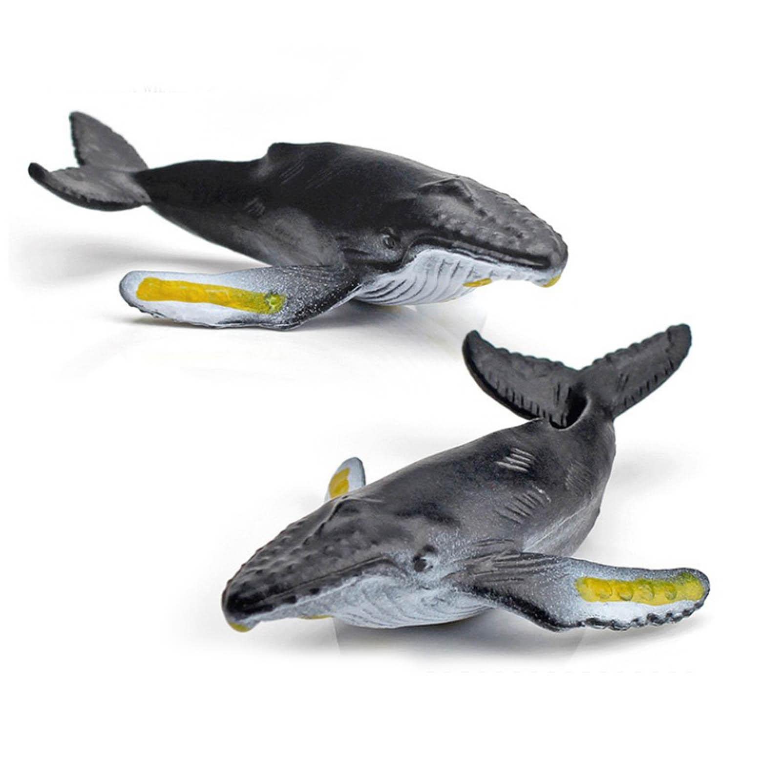 XO STUDIO 海洋生物 フィギュアセット Amazon.co.jp: 動物フィギュア 海洋フィギュアセット 動物模型