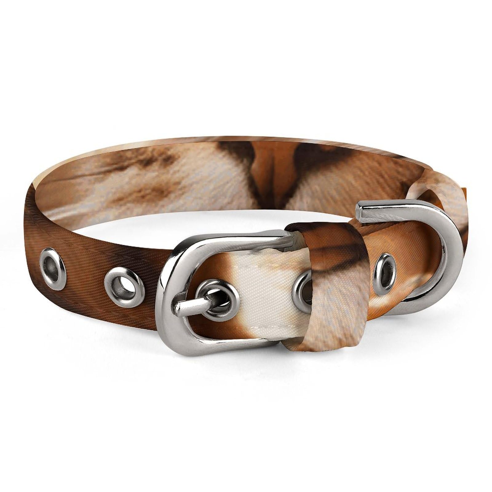 Collier réglable pour chien et chat de petite et moyenne taille