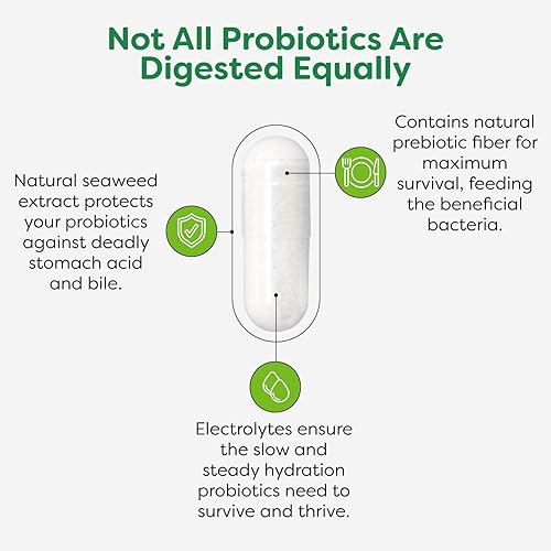 Miniatura 5 de Probulin Suplemento probiótico de apoyo para el colon, cápsulas probióticas para la salud intestinal, digestiva e inmunitaria para hombres y
