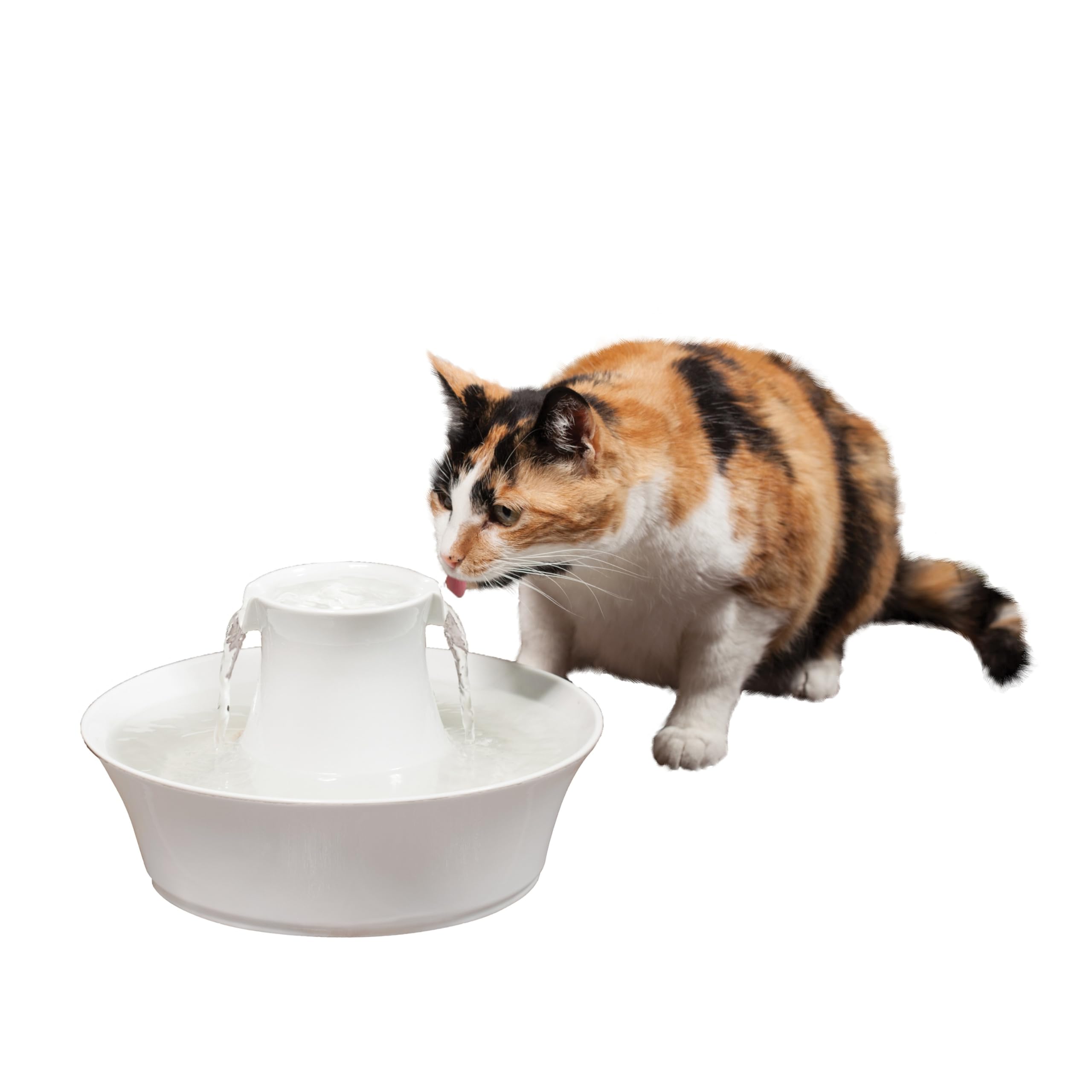 PetSafe Fontaine en céramique Drinkwell Avalon, Eau Potable filtrée pour Chiens et Chats, capacité d'eau de 2 litres, Blanc