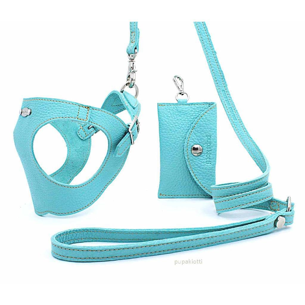 Basic. Set 3 Pezzi. Pettorina per Cani, Guinzaglio e Porta Sacchetti per Cane in Pelle Made in Italy Arancione 2XS