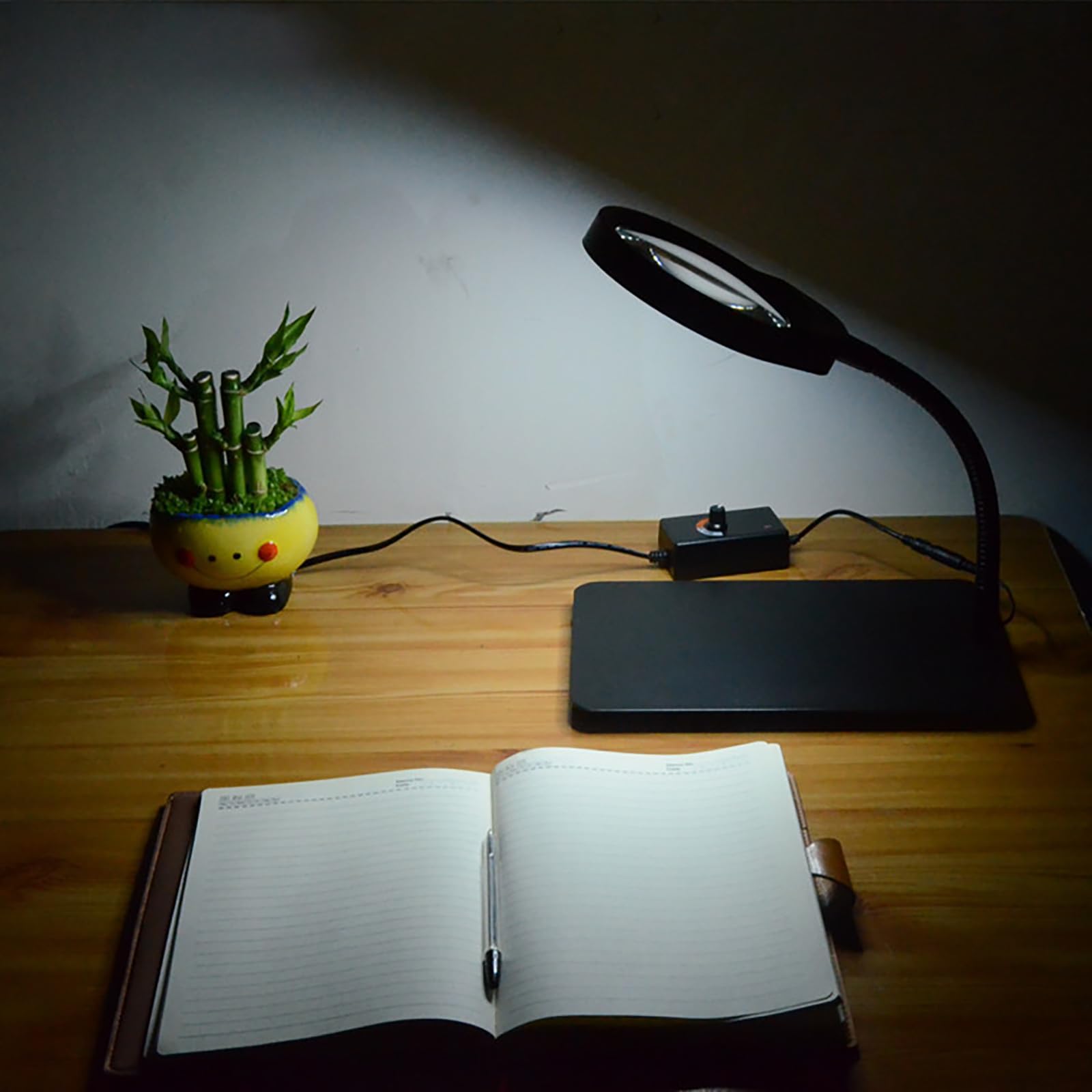 MACASA Loupe Grossissante X10 Avec Lumière Et Minuteur, Lampe De Bureau