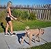 Black Rhino – Dog Leash Adjustable Length (3-5 Feet) with Soft Neoprene Padded Handle | Heavy Duty Lead for Easy Control | Small Medium Large Breeds | Reflective Stitching (Red/Black)