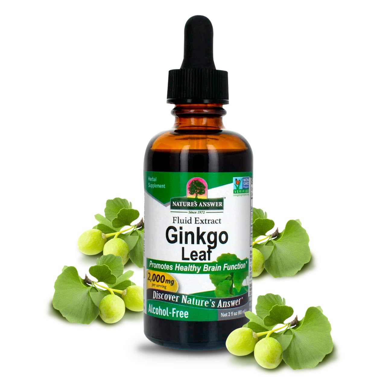 Alcohol-Free Ginkgo Leaf 2000mg 2oz Extract | Stimulates Memory, Mood & Concentration | Gluten-Free, Kosher Certified & No Preservatives | Single Count
