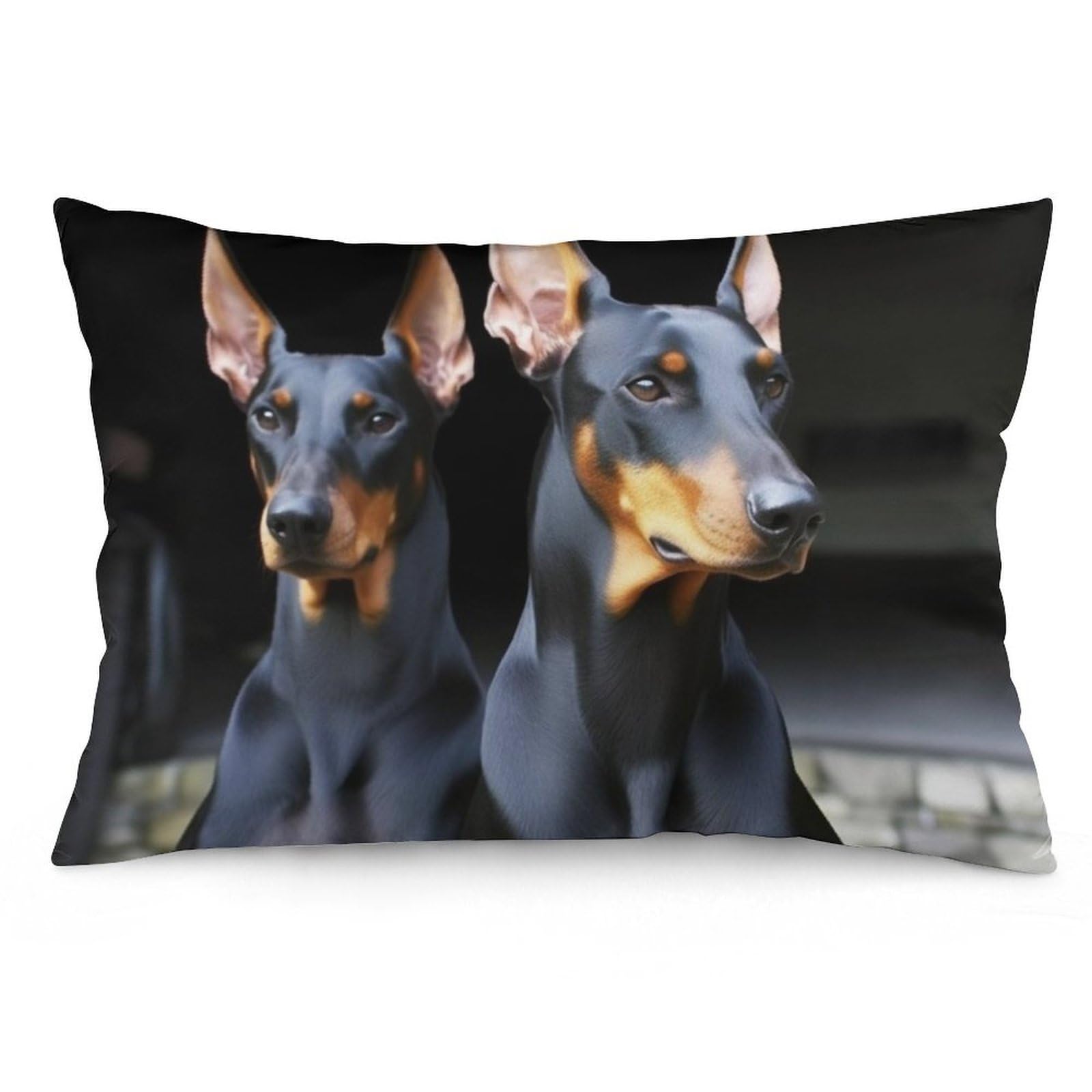 NONHAI 2 Pack Pillow Cases for Hair and Skin, Soft Breathable Pillow Case Covers with Hidden Zipper, Doberman Pillowcase 20"x30" Pillow Covers for Sleeping Gift
