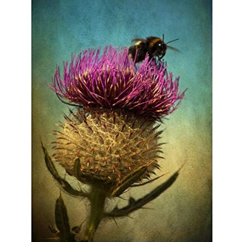 Wee Blue Coo Bumble Bee And Thistle Unframed Art Print Poster Wall Decor 12X16 Inch