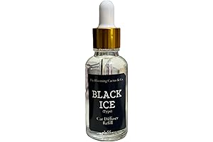 Car Diffuser Refill 30 gr (Black Ice (Type)) - Experience the Frigid...