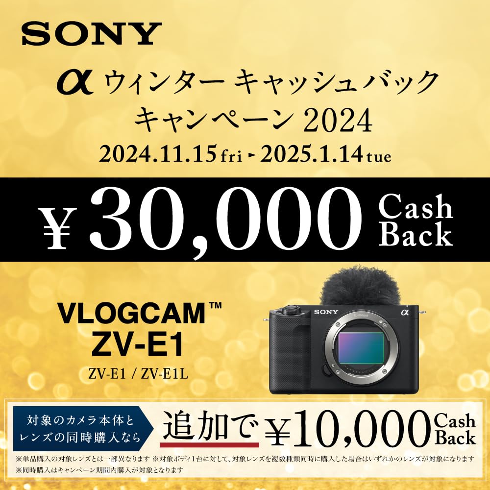 Amazon.co.jp: ソニー / Vlog用カメラ / レンズ交換式VLOGCAM / フル  