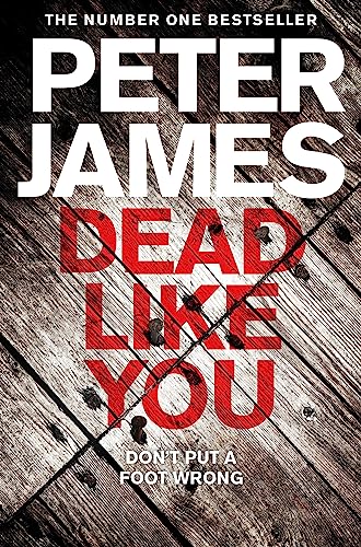 Dead Like You (Detective Superintendent Roy Grace, 6)
