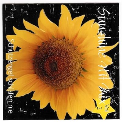 Sunshine Hit Mix Vol. 2