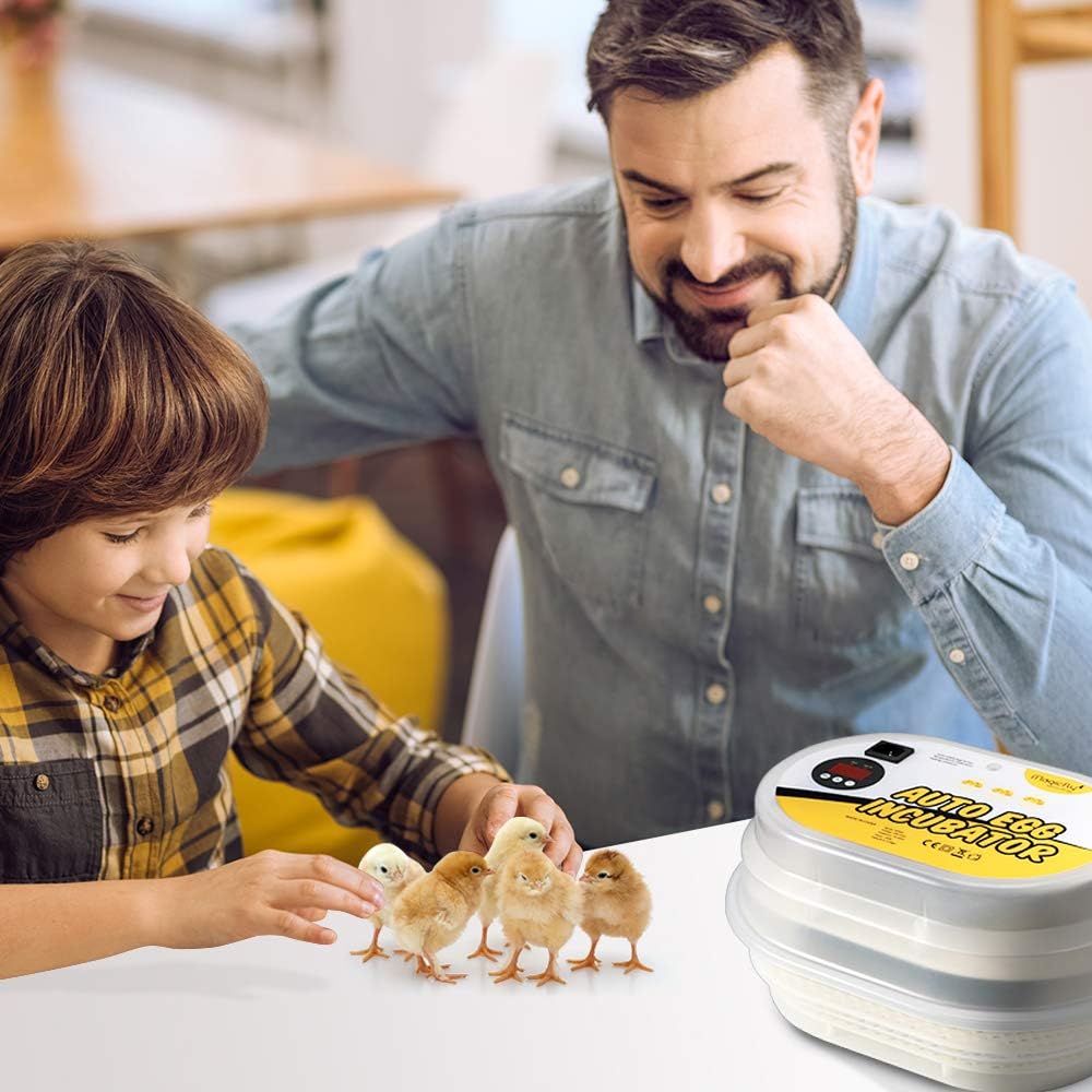 Magicfly Mini Egg Incubator included accessories
