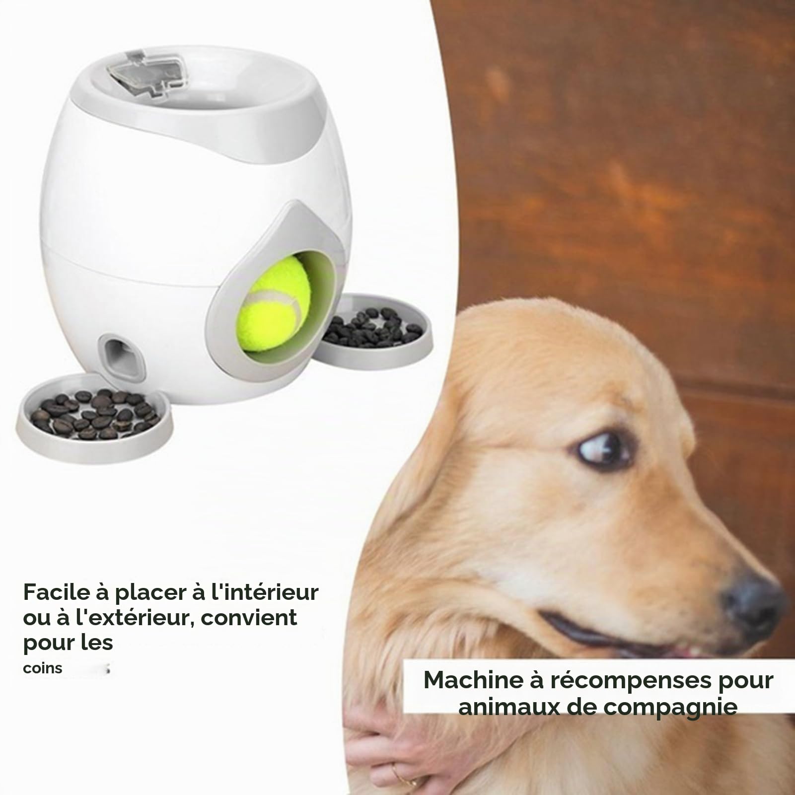 Jouet lanceur de balle tennis automatique pour chien