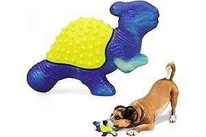 BARK Super Chewer Dog Toy - Indestructible Nylon