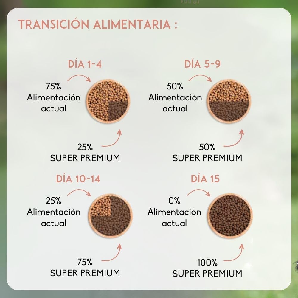 NUTRIVET - Super Premium - Saumon Riz - Croquettes sans Blé - Chien - Riche en Protéines Animales - 15 kg
