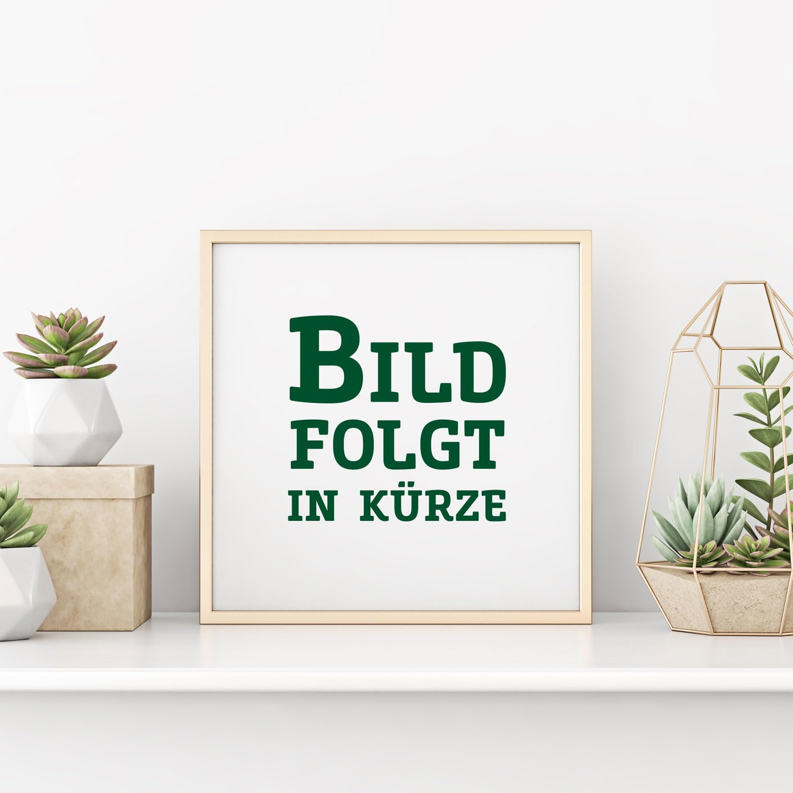 2er Set Grüne-Säuleneibe, Taxus baccata "Fastigiata Robusta", Höhe 60-70 cm