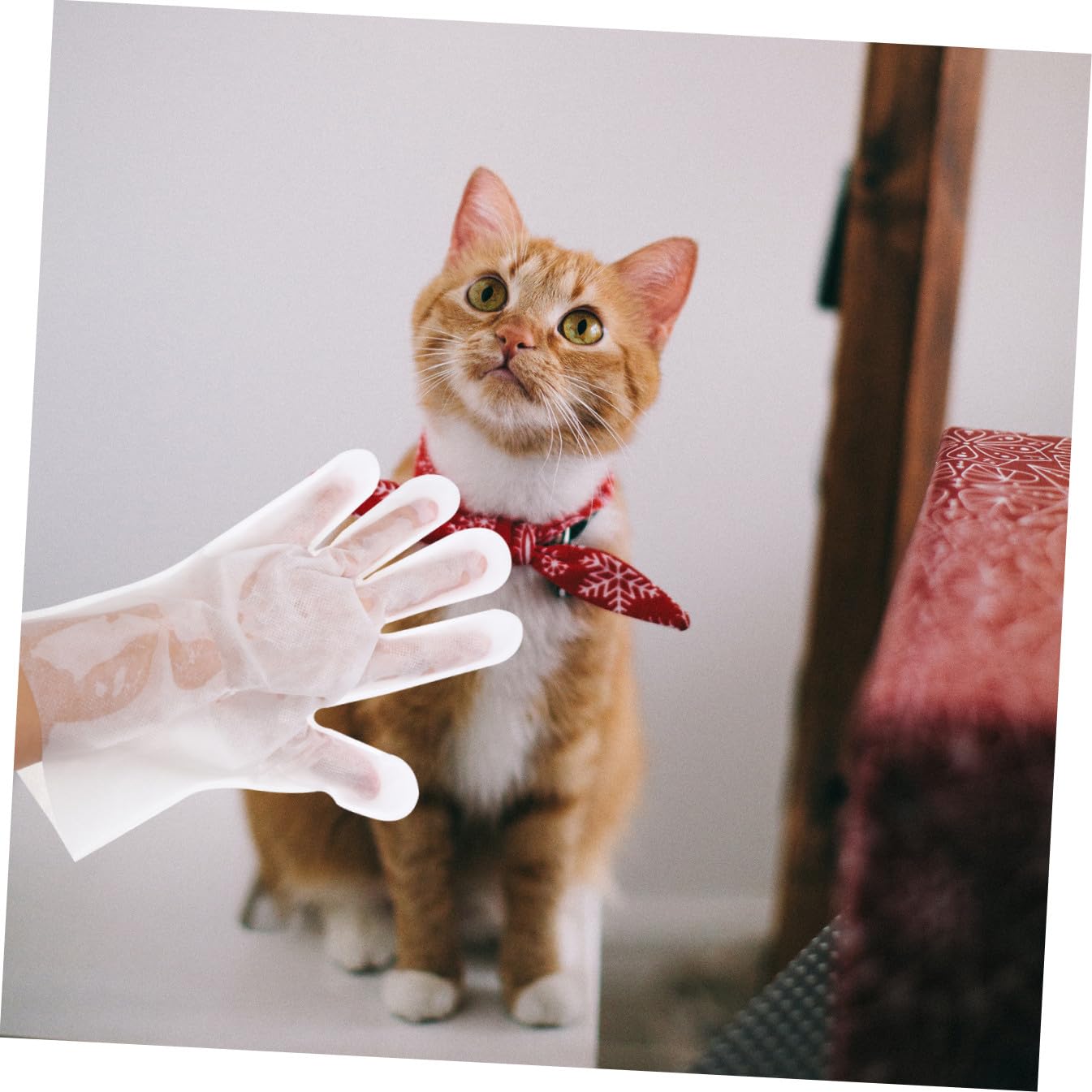 Didiseaon 18pezzi Guanti per Pulizia e Massaggio per Animali Domestici da Non Guanti per Bagno Senza Lavaggio per Gatti e Cani Accessori per Animali Domestici
